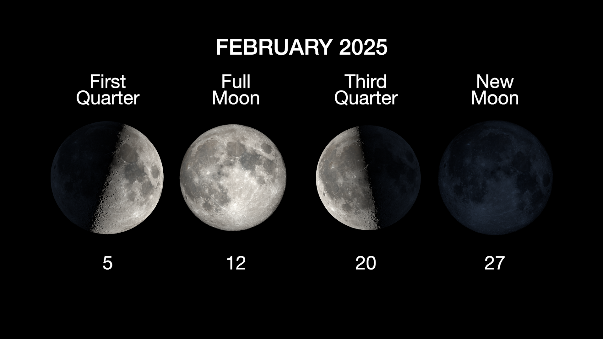An illustrated sky chart shows the evening sky in mid-February, facing south around 8pm. Jupiter is marked as a bright white dot near the top, right of center. Mars is a slightly smaller dot at top, left of center. Across the center of the chart are the winter constellations Orion, Taurus, and Gemini, plus the bright star Sirius.